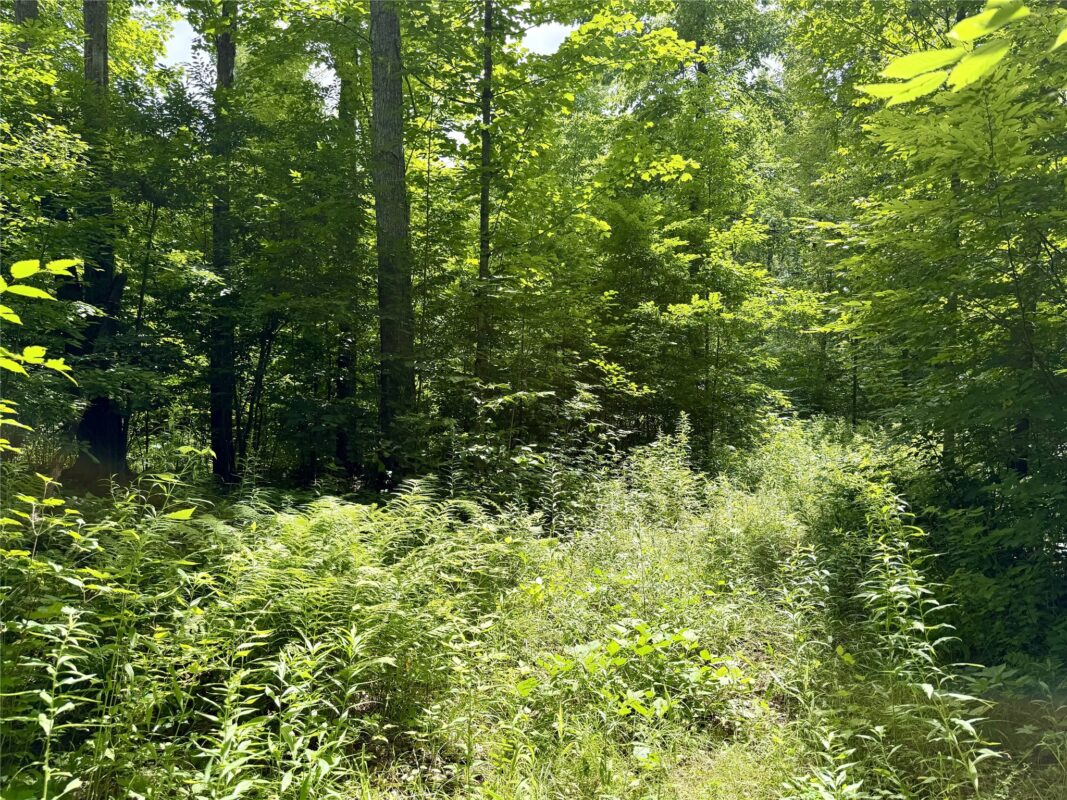 25478 185th Avenue, Cornell WI 54732 - Land house for sale - MLS #1603555 - image5