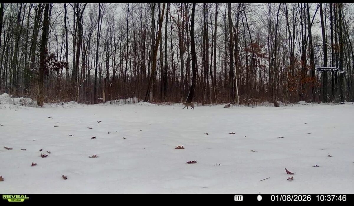 25478 185th Avenue, Cornell WI 54732 - Land house for sale - MLS #1603555 - image42