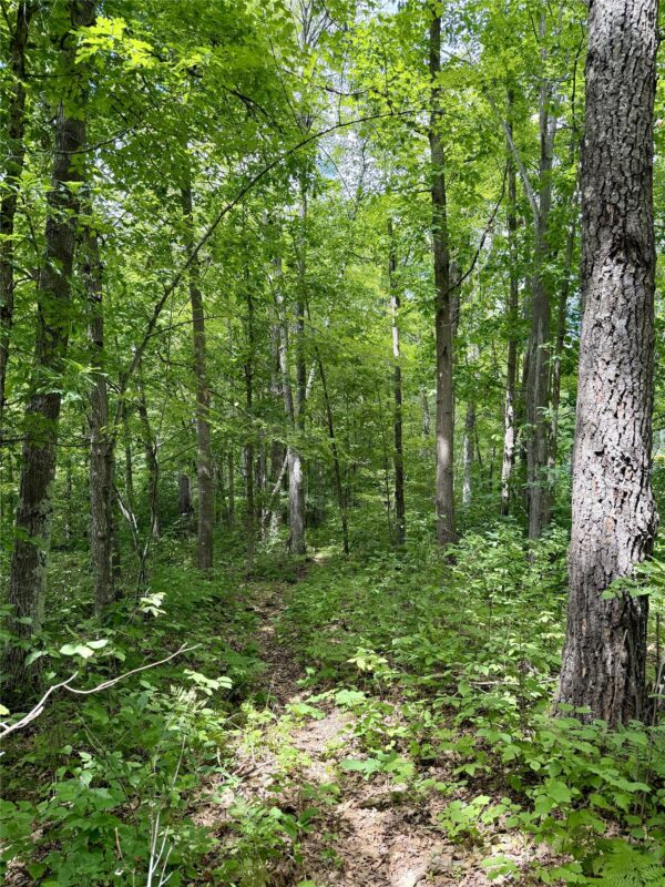 25478 185th Avenue, Cornell WI 54732 - Land house for sale - MLS #1603555 - image7