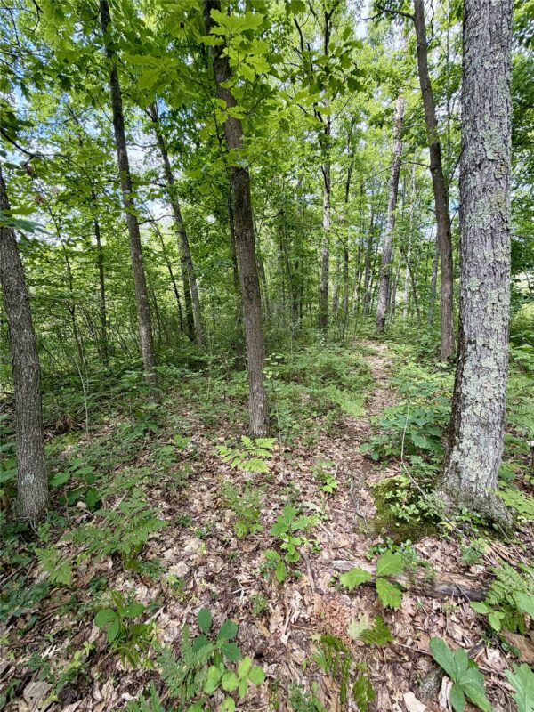 25478 185th Avenue, Cornell WI 54732 - Land house for sale - MLS #1603555 - image8