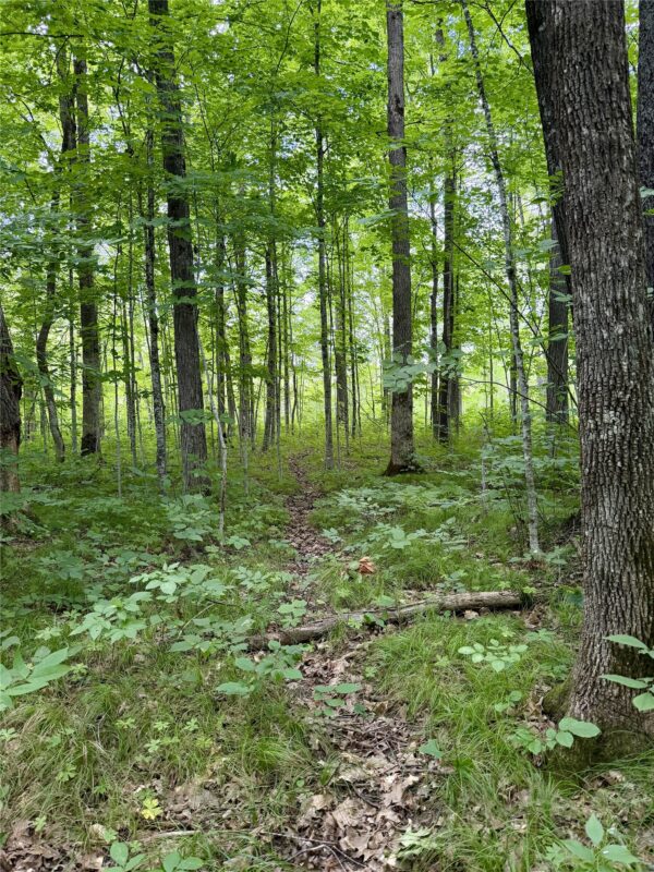 25478 185th Avenue, Cornell WI 54732 - Land house for sale - MLS #1603555 - image10