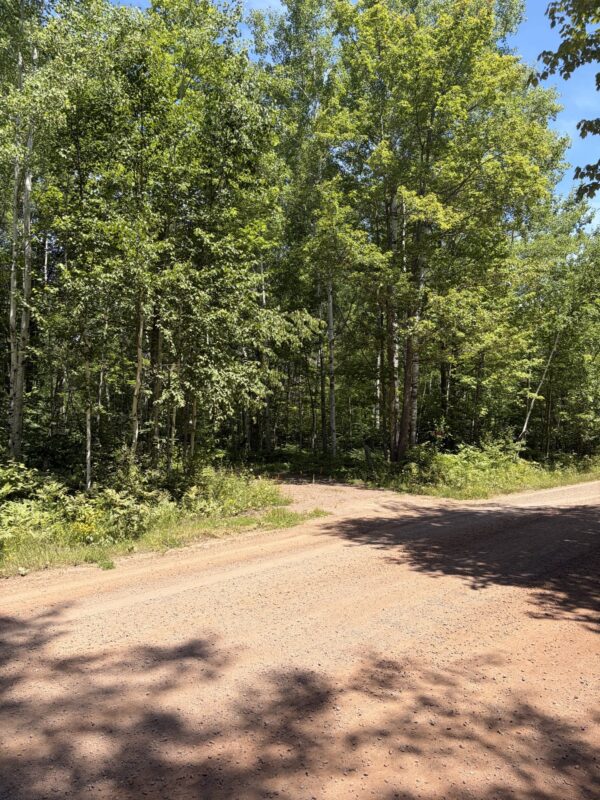 2568 North Shore Road, La Pointe WI 54850 - Land house for sale - MLS #1602966 - image2