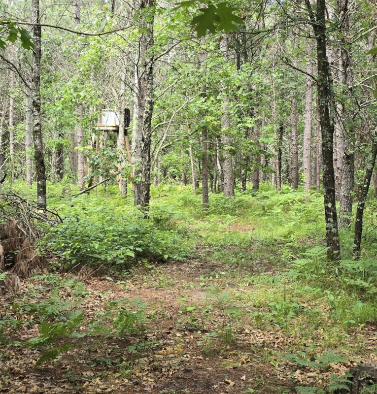 26131 Ostergren Road, Webster WI 54893 - Land house for sale - MLS #1603028 - image12