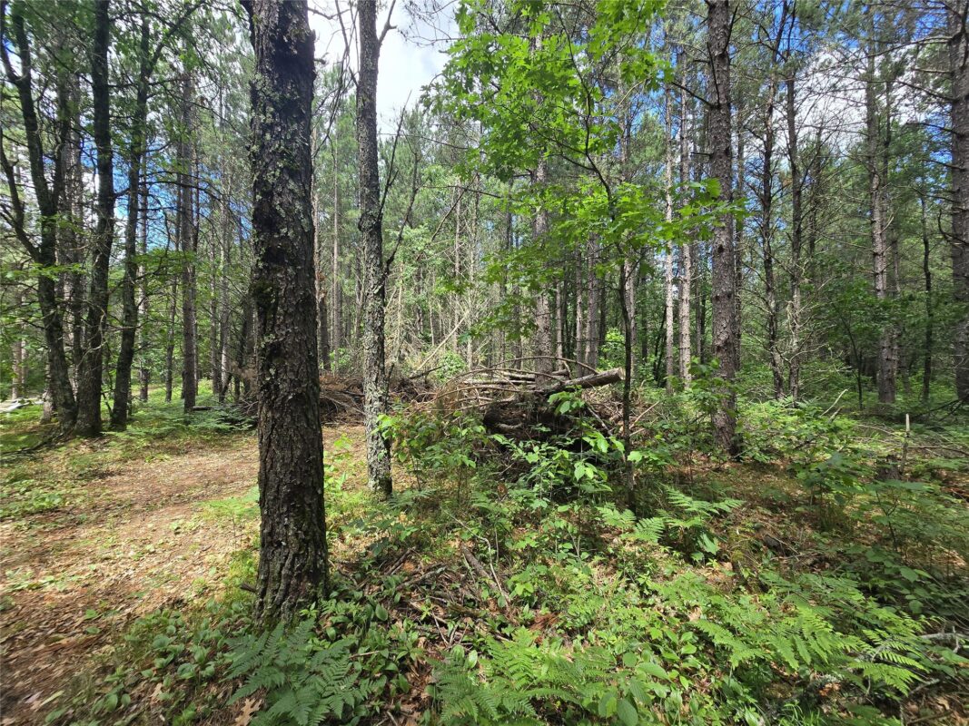 26131 Ostergren Road, Webster WI 54893 - Land house for sale - MLS #1603028 - image13