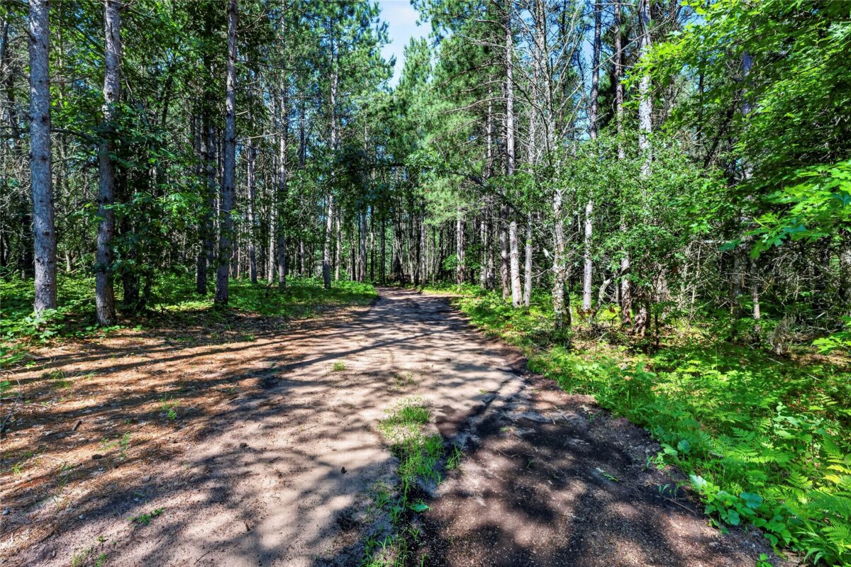 26131 Ostergren Road, Webster WI 54893 - Land house for sale - MLS #1603028 - image3