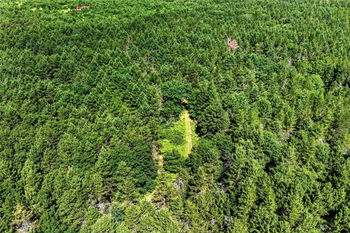 26131 Ostergren Road, Webster WI 54893 - Land house for sale - MLS #1603028 - image7