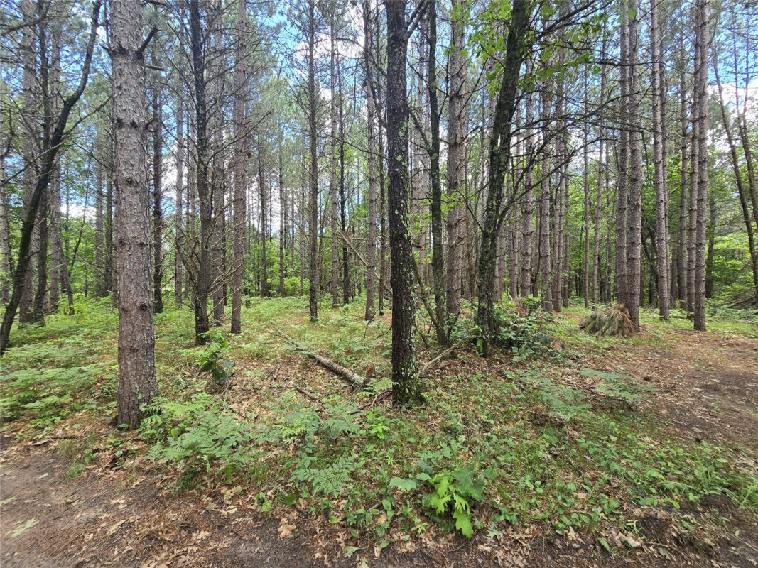 26131 Ostergren Road, Webster WI 54893 - Land house for sale - MLS #1603028 - image8
