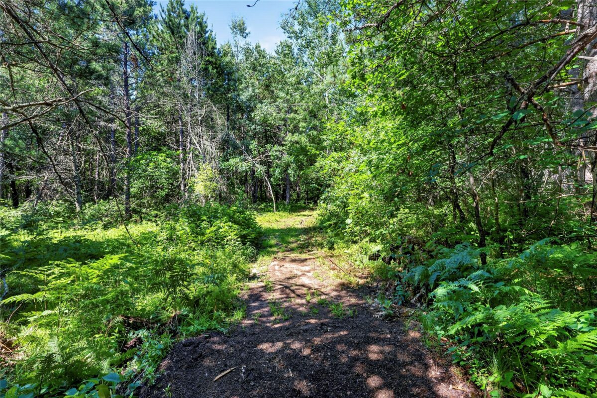 26131 Ostergren Road, Webster WI 54893 - Land house for sale - MLS #1603028 - image10