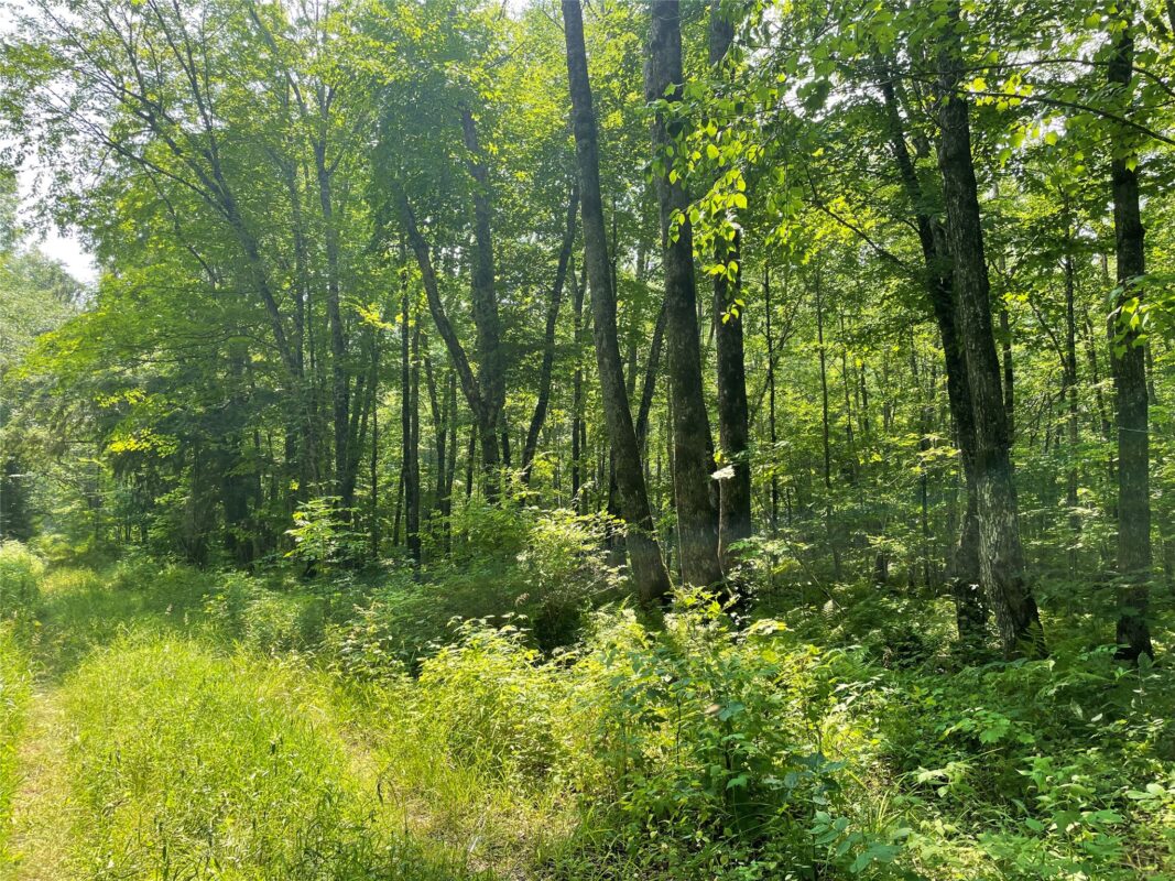 3379 Hanson Road, Winter WI 54896 - Residential house for sale - MLS #1603378 - image12