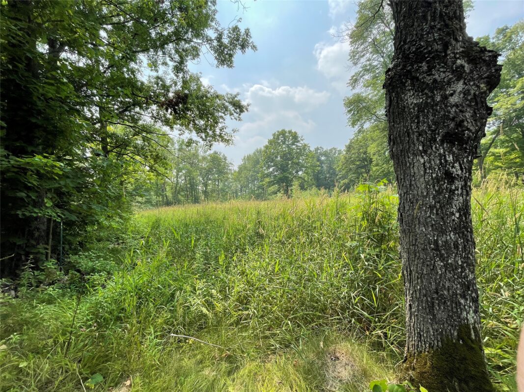 3379 Hanson Road, Winter WI 54896 - Residential house for sale - MLS #1603378 - image15