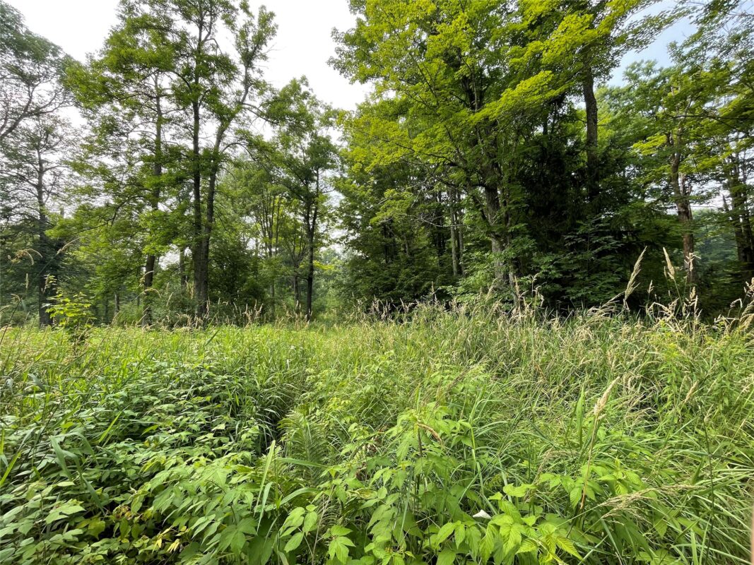 3379 Hanson Road, Winter WI 54896 - Residential house for sale - MLS #1603378 - image16