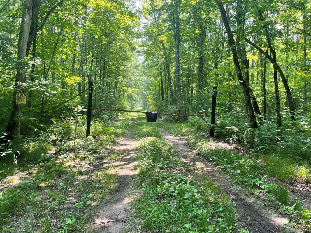 3379 Hanson Road, Winter WI 54896 - Residential house for sale - MLS #1603378 - image8