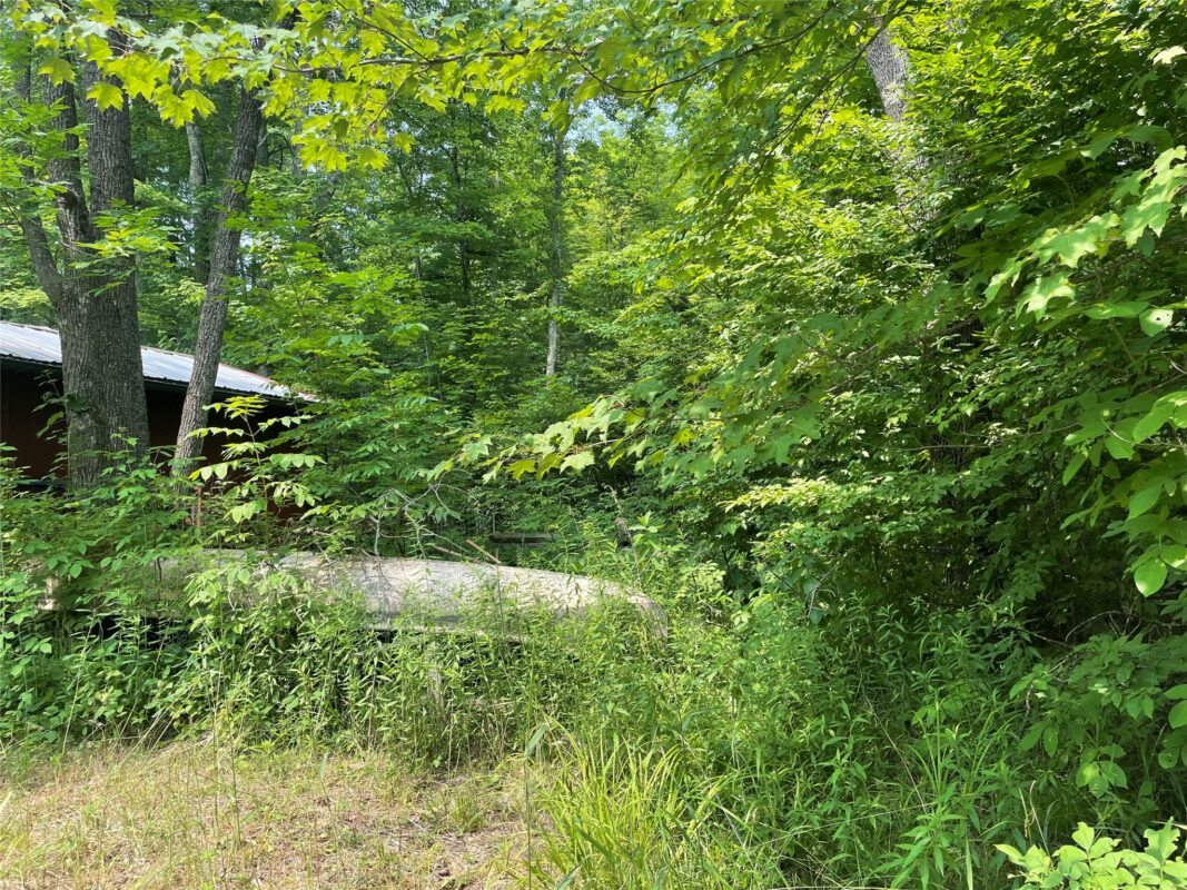 3379 Hanson Road, Winter WI 54896 - Residential house for sale - MLS #1603378 - image9