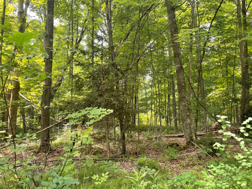 3379 Hanson Road, Winter WI 54896 - Residential house for sale - MLS #1603378 - image10