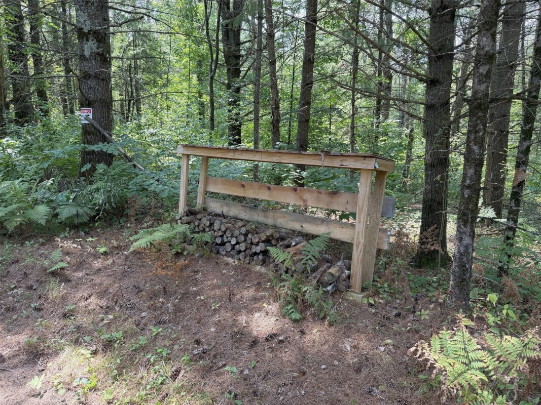 3500 Historic Road, Weyerhaeuser WI 54895 - Land house for sale - MLS #1603664 - image15
