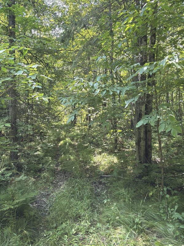 3500 Historic Road, Weyerhaeuser WI 54895 - Land house for sale - MLS #1603664 - image27