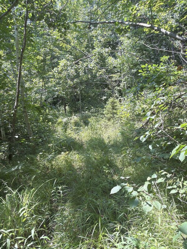 3500 Historic Road, Weyerhaeuser WI 54895 - Land house for sale - MLS #1603664 - image28