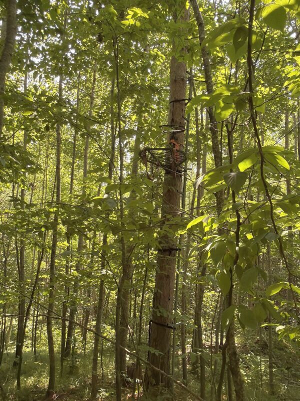 3500 Historic Road, Weyerhaeuser WI 54895 - Land house for sale - MLS #1603664 - image29
