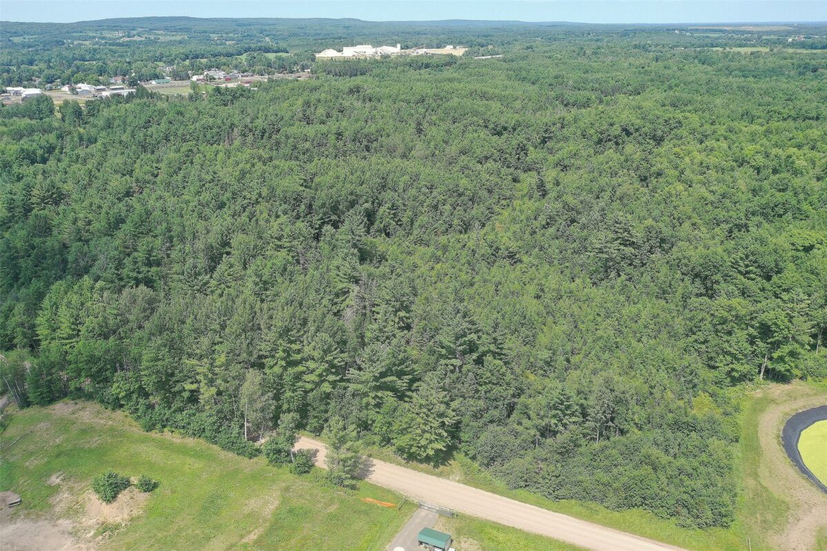 3500 Historic Road, Weyerhaeuser WI 54895 - Land house for sale - MLS #1603664 - image4