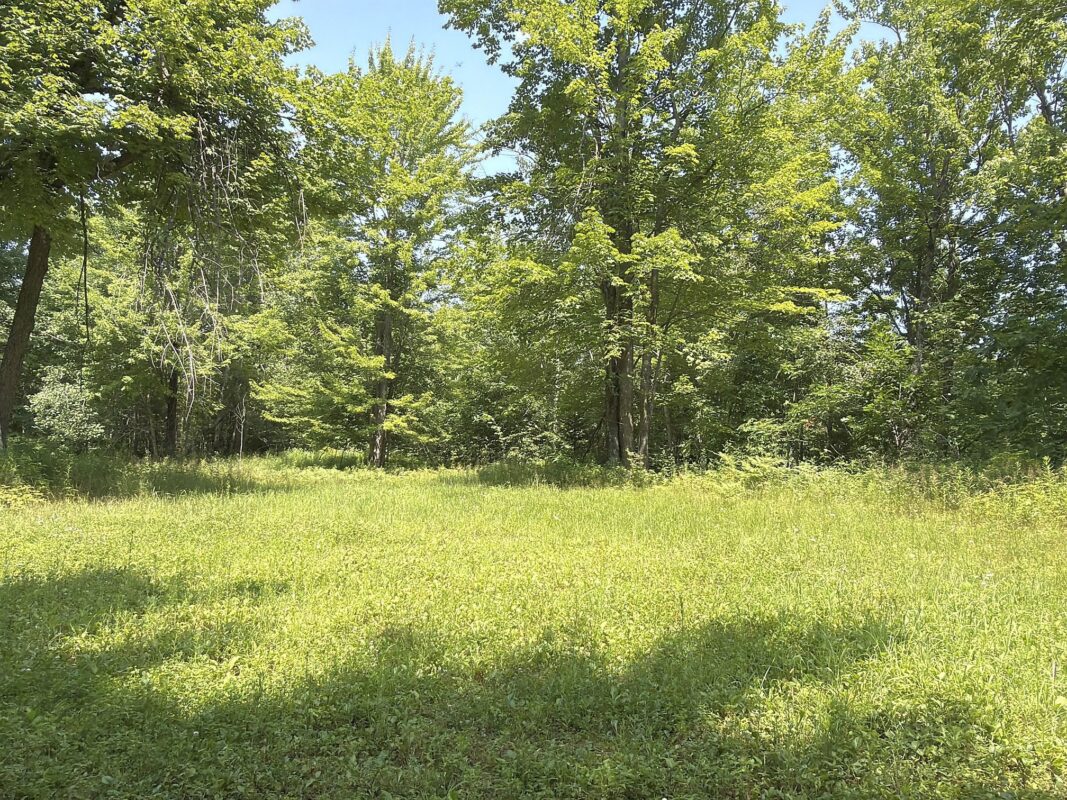 3500 Historic Road, Weyerhaeuser WI 54895 - Land house for sale - MLS #1603664 - image31