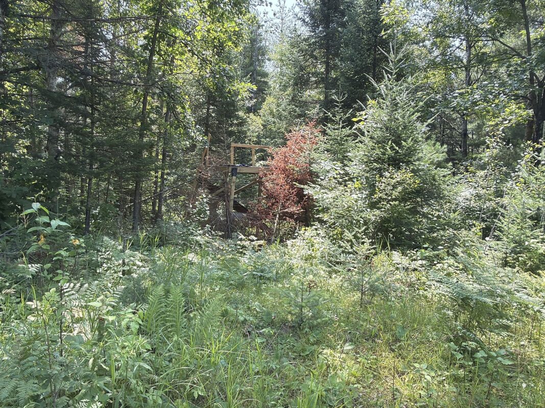 3500 Historic Road, Weyerhaeuser WI 54895 - Land house for sale - MLS #1603664 - image32