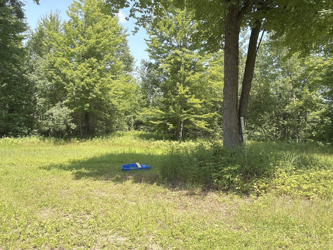 3500 Historic Road, Weyerhaeuser WI 54895 - Land house for sale - MLS #1603664 - image33