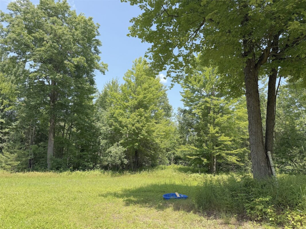 3500 Historic Road, Weyerhaeuser WI 54895 - Land house for sale - MLS #1603664 - image34