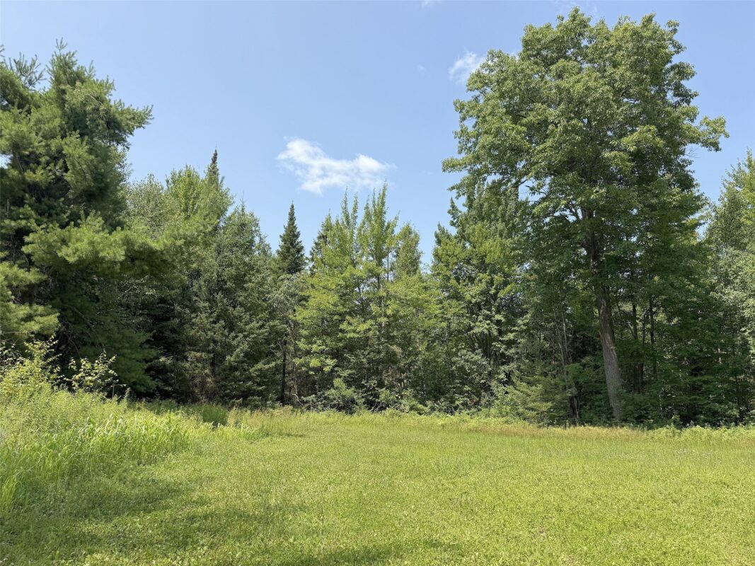 3500 Historic Road, Weyerhaeuser WI 54895 - Land house for sale - MLS #1603664 - image35