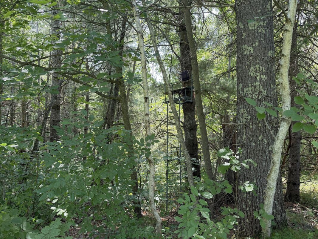 3500 Historic Road, Weyerhaeuser WI 54895 - Land house for sale - MLS #1603664 - image36