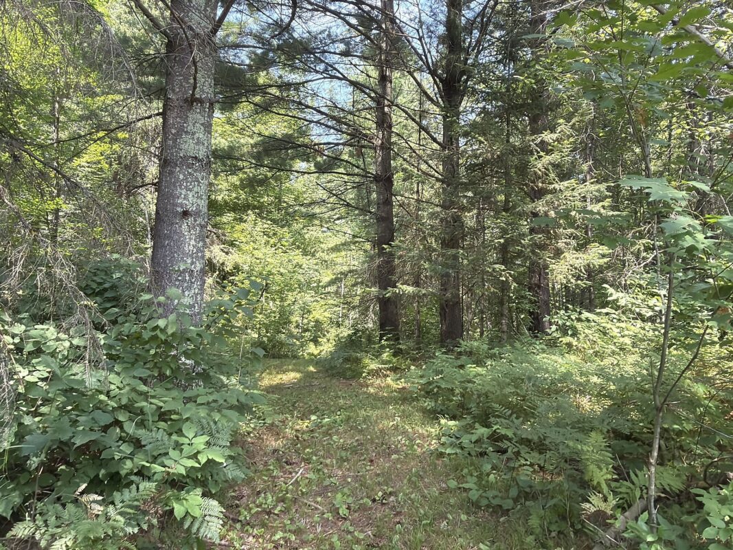 3500 Historic Road, Weyerhaeuser WI 54895 - Land house for sale - MLS #1603664 - image38