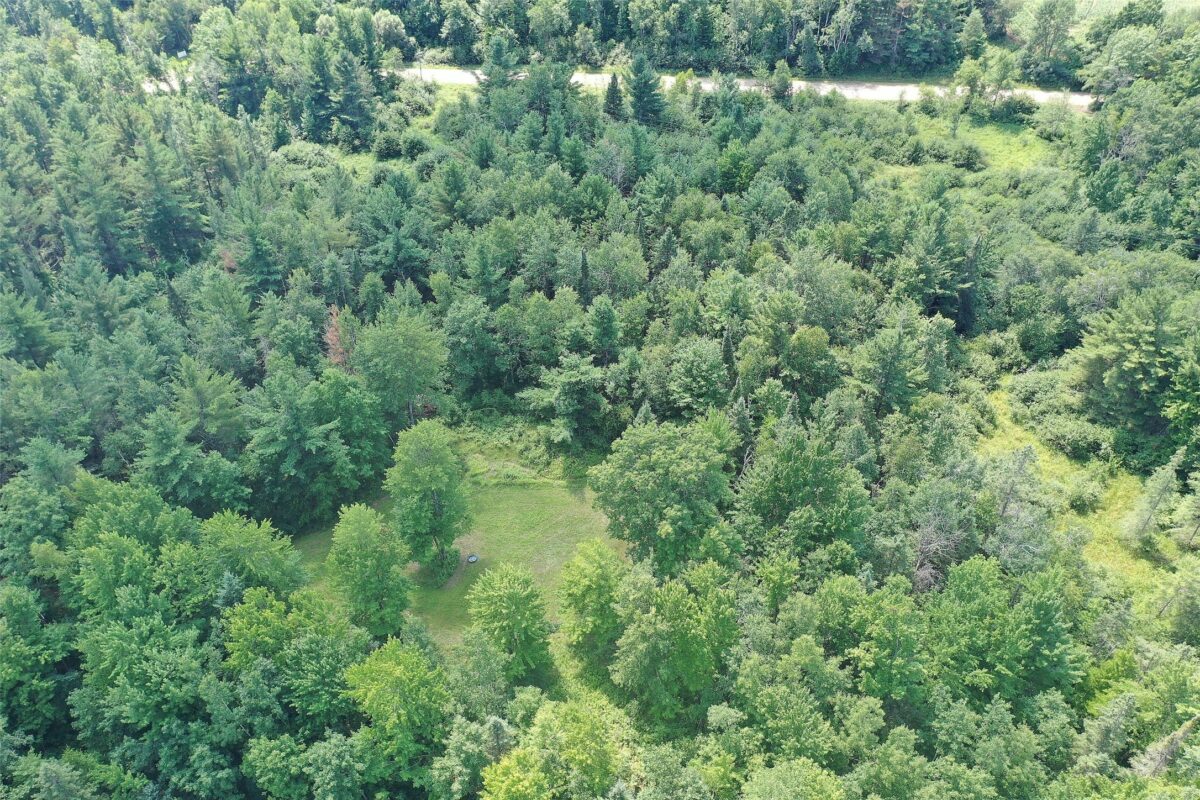 3500 Historic Road, Weyerhaeuser WI 54895 - Land house for sale - MLS #1603664 - image5