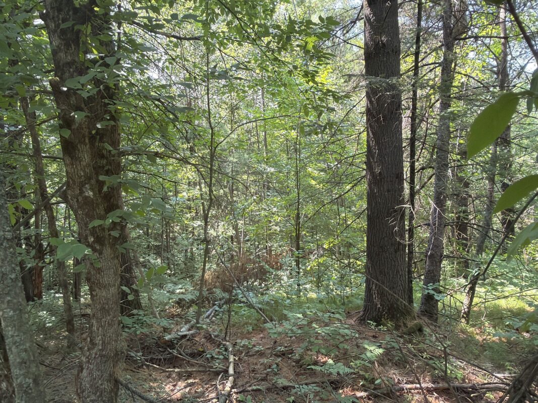 3500 Historic Road, Weyerhaeuser WI 54895 - Land house for sale - MLS #1603664 - image41