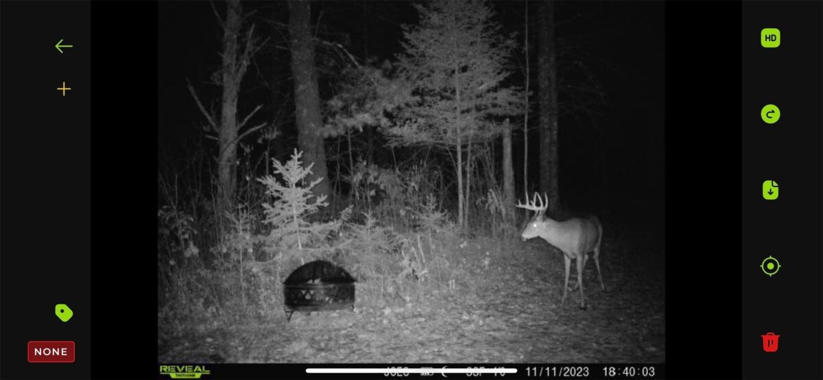 3500 Historic Road, Weyerhaeuser WI 54895 - Land house for sale - MLS #1603664 - image43