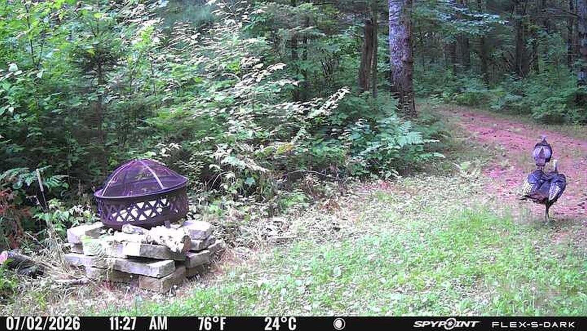 3500 Historic Road, Weyerhaeuser WI 54895 - Land house for sale - MLS #1603664 - image46