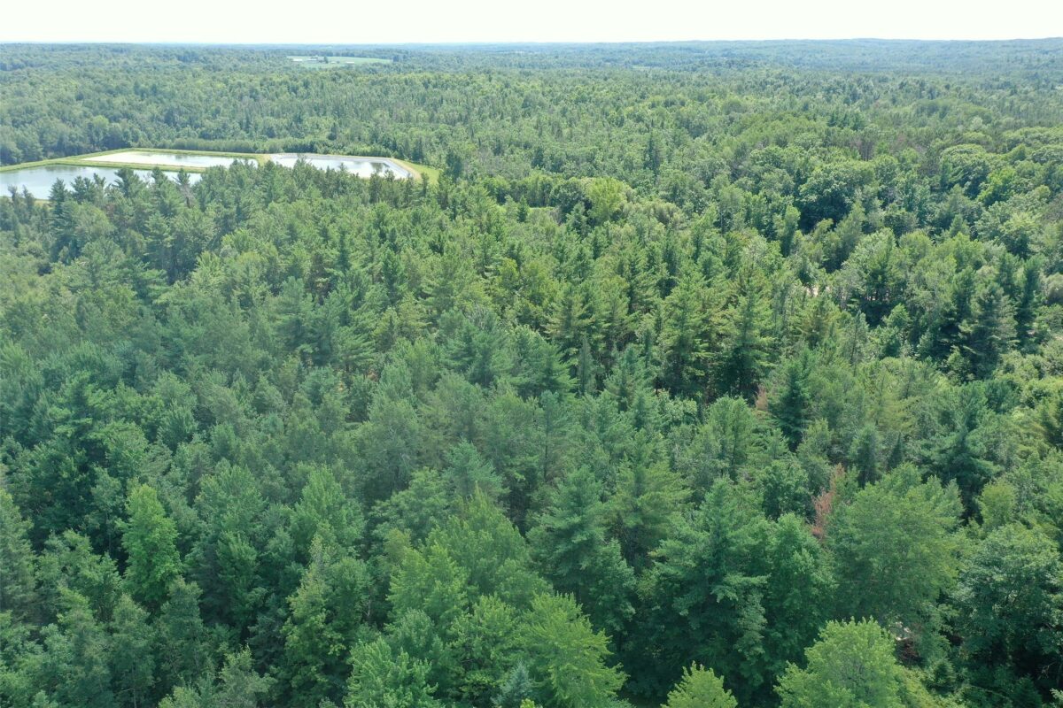 3500 Historic Road, Weyerhaeuser WI 54895 - Land house for sale - MLS #1603664 - image7