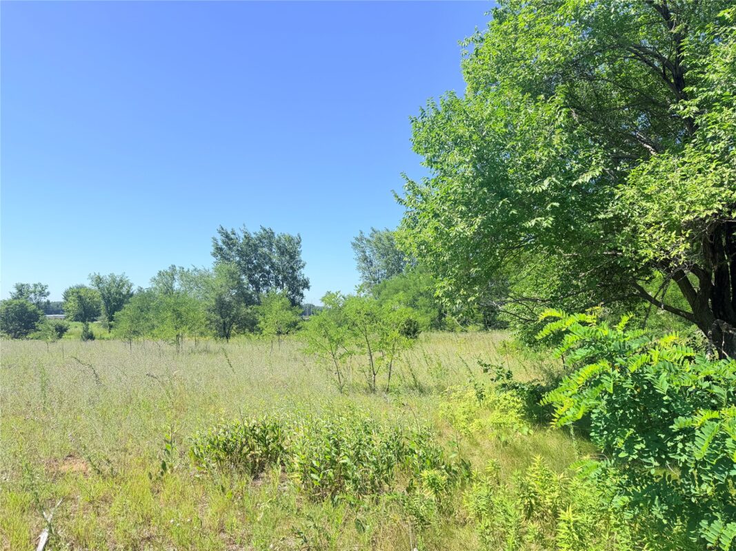 3.63 Acres Truax Lane, Eau Claire WI 54703 - Land house for sale - MLS #1603271 - image12