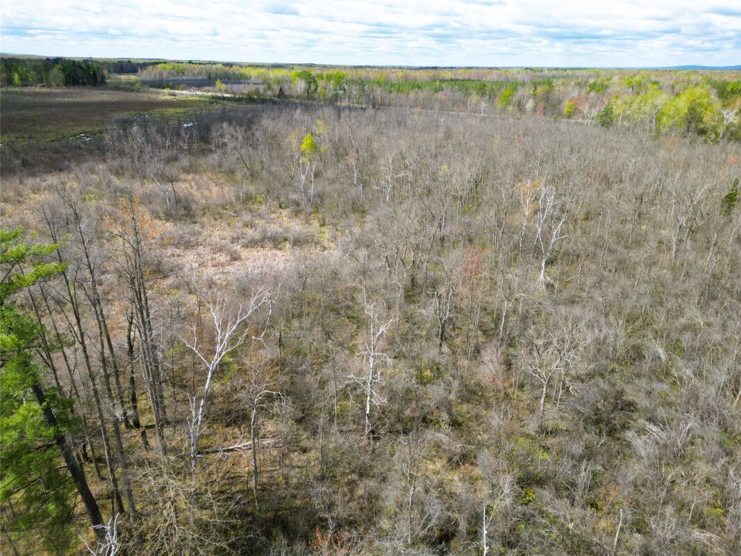 36.5 Acres E Cedarbrook Road, Ladysmith WI 54848 - Land house for sale - MLS #1601172 - image11