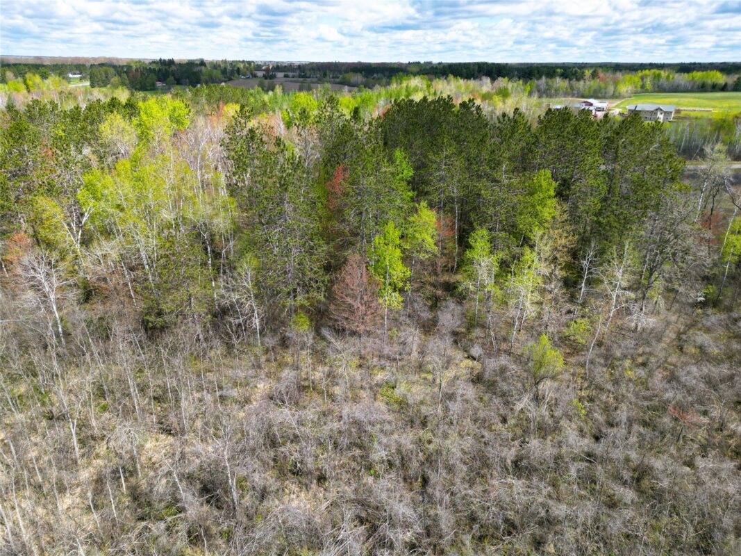 36.5 Acres E Cedarbrook Road, Ladysmith WI 54848 - Land house for sale - MLS #1601172 - image13
