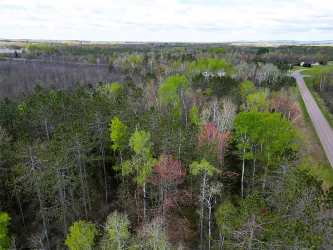 36.5 Acres E Cedarbrook Road, Ladysmith WI 54848 - Land house for sale - MLS #1601172 - image7