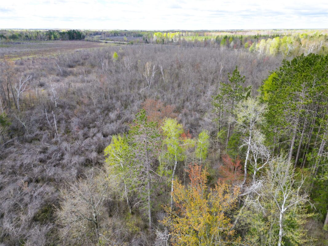 36.5 Acres E Cedarbrook Road, Ladysmith WI 54848 - Land house for sale - MLS #1601172 - image8