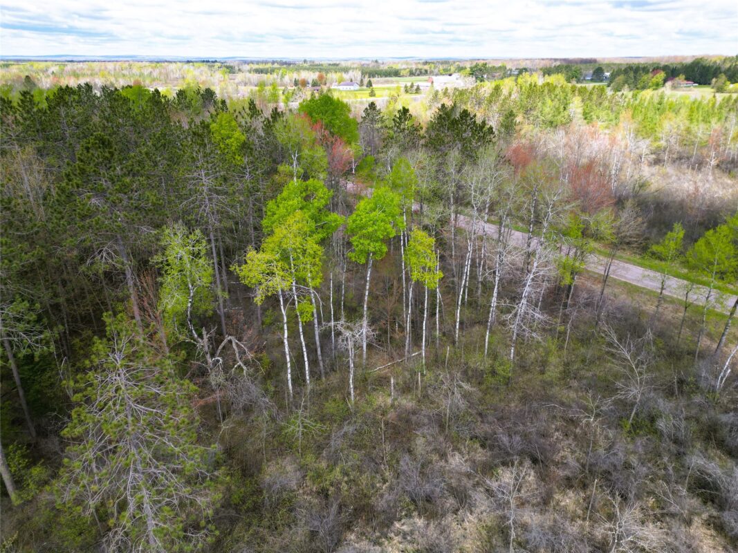 36.5 Acres E Cedarbrook Road, Ladysmith WI 54848 - Land house for sale - MLS #1601172 - image9