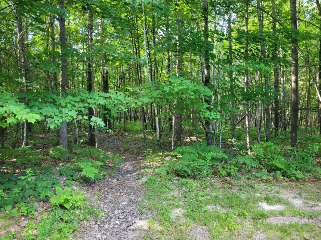 3724 Sherwood Road, Neillsville WI 54456 - Residential house for sale - MLS #1603349 - image33
