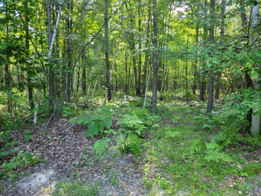 3724 Sherwood Road, Neillsville WI 54456 - Residential house for sale - MLS #1603349 - image35