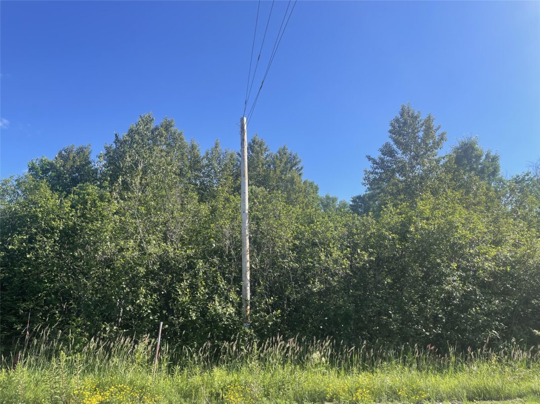 39+/- A on County Highway E, Iron Belt WI 54536 - Land house for sale - MLS #1602959 - image8