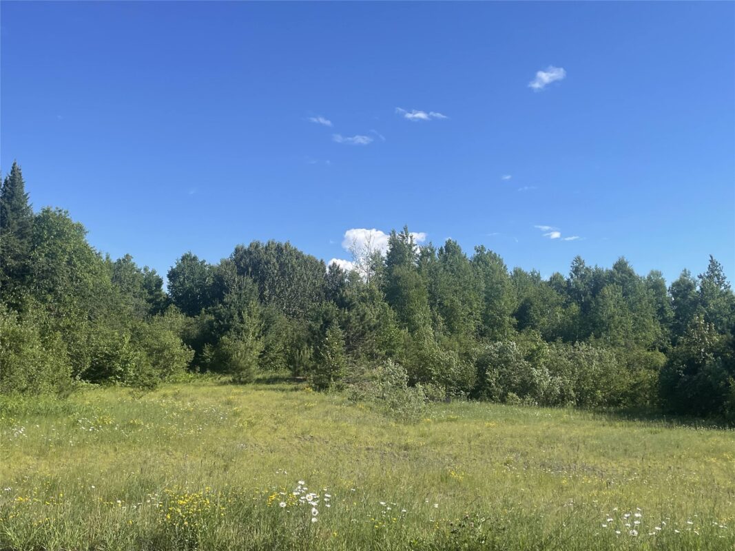 39+/- A on County Highway E, Iron Belt WI 54536 - Land house for sale - MLS #1602959 - image10