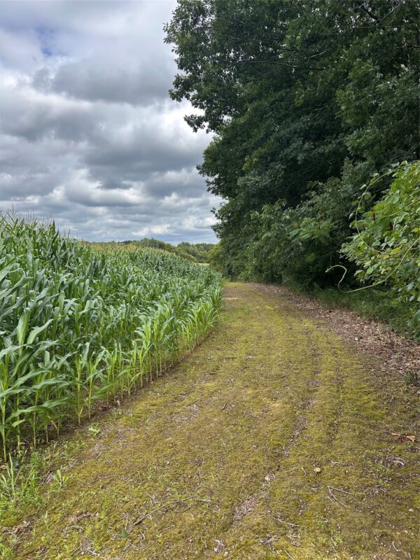 40 Acres 180th Street, Chippewa Falls WI 54720 - Land house for sale - MLS #1603422 - image2