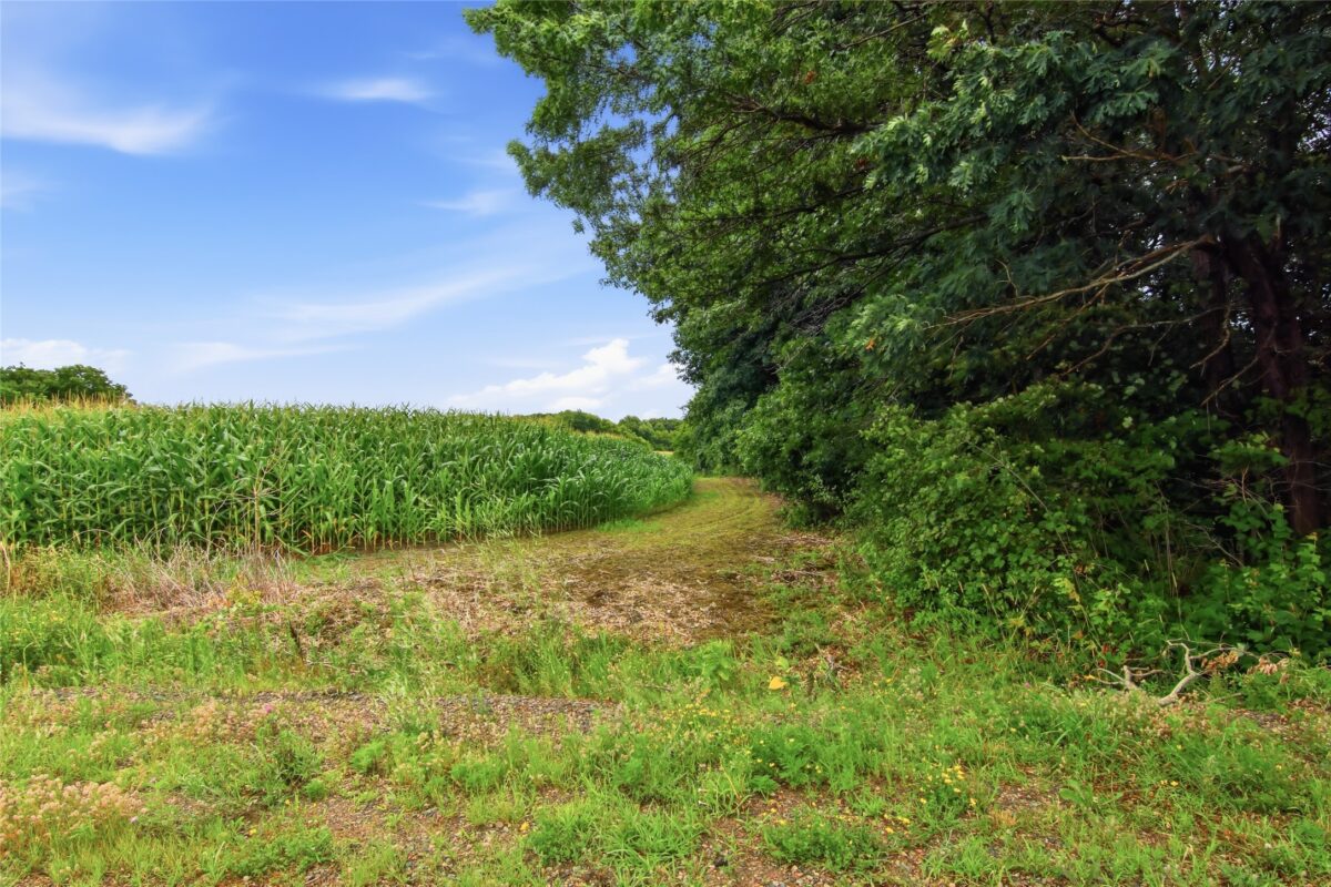 40 Acres 180th Street, Chippewa Falls WI 54720 - Land house for sale - MLS #1603422 - image12