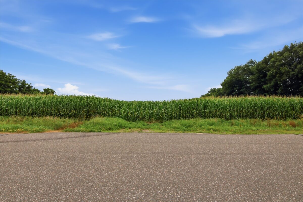 40 Acres 180th Street, Chippewa Falls WI 54720 - Land house for sale - MLS #1603422 - image13