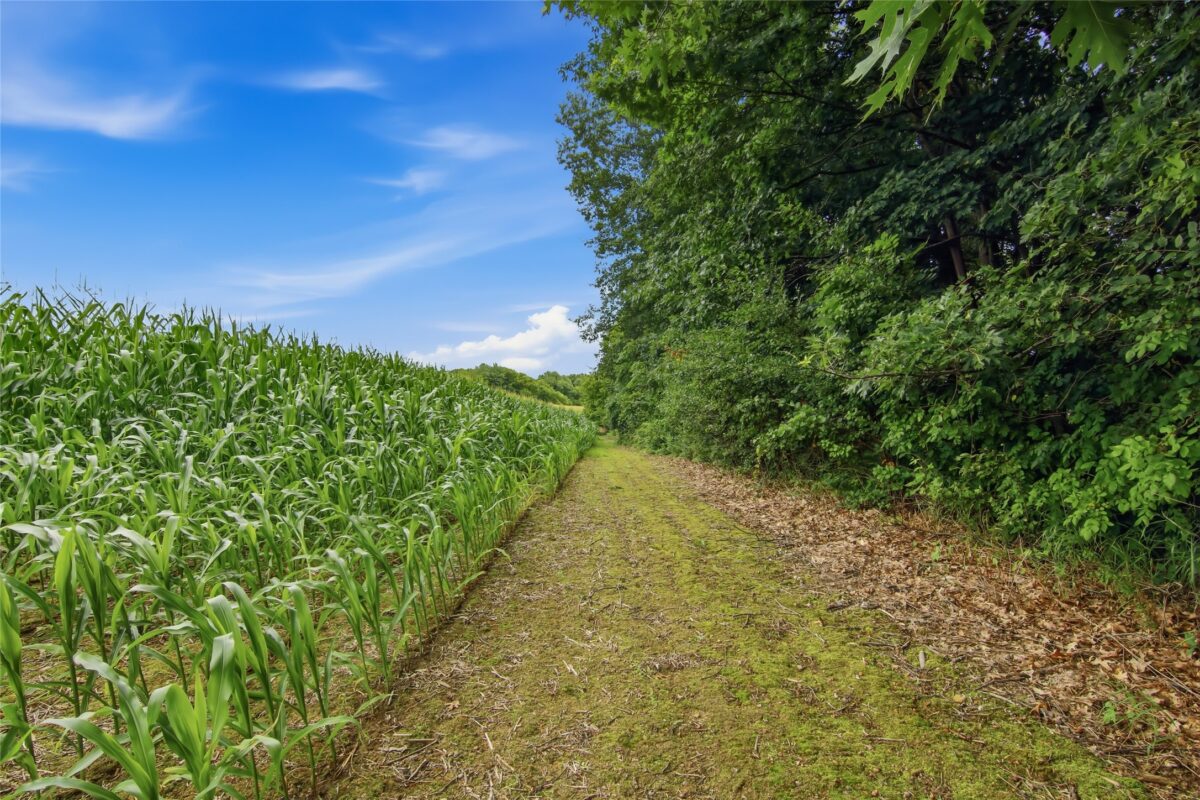 40 Acres 180th Street, Chippewa Falls WI 54720 - Land house for sale - MLS #1603422 - image16