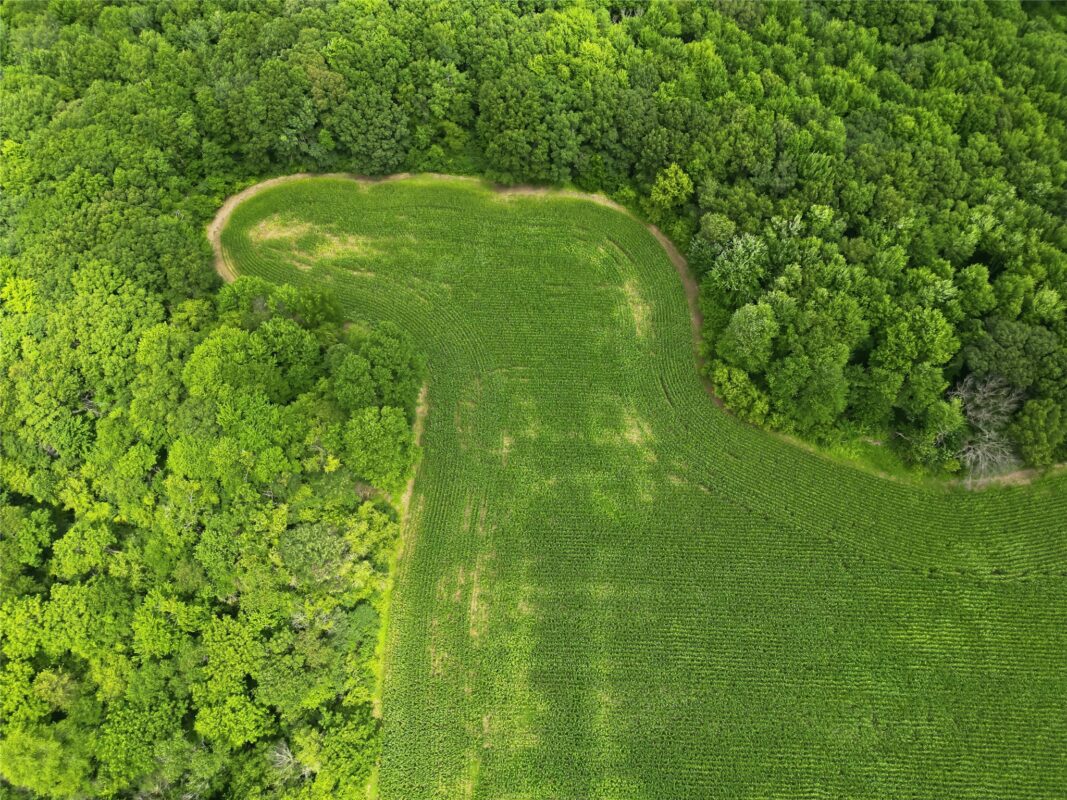 40 Acres 180th Street, Chippewa Falls WI 54720 - Land house for sale - MLS #1603422 - image17